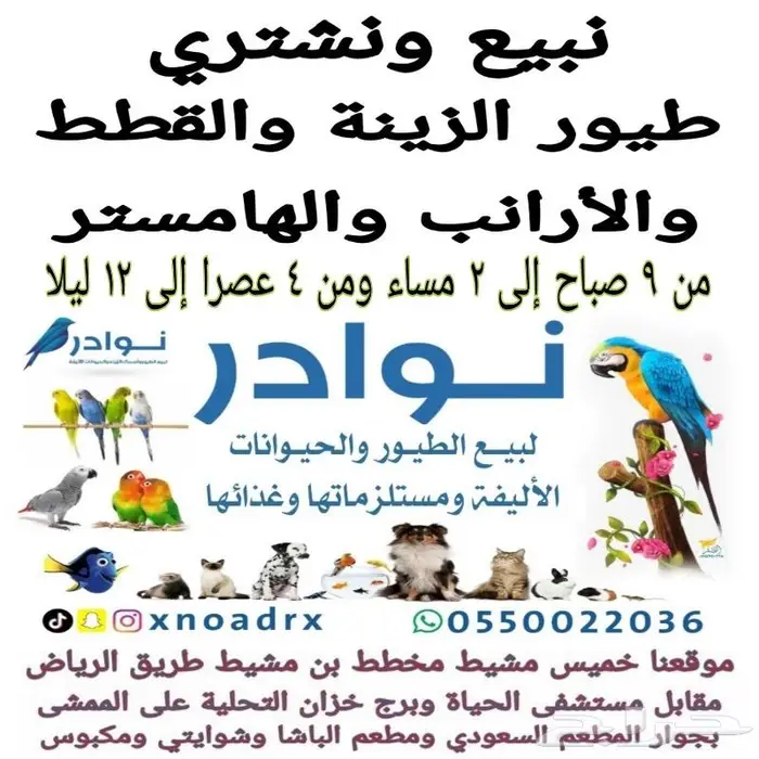 اكل قطط وفيتامينات ورمل والعاب قطط 18