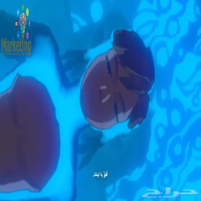 لعبة زيلدا بالعربي لجهاز نيتندو سويتش Zelda 1