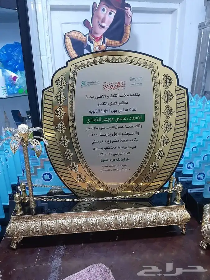 دروع فاخرة 20
