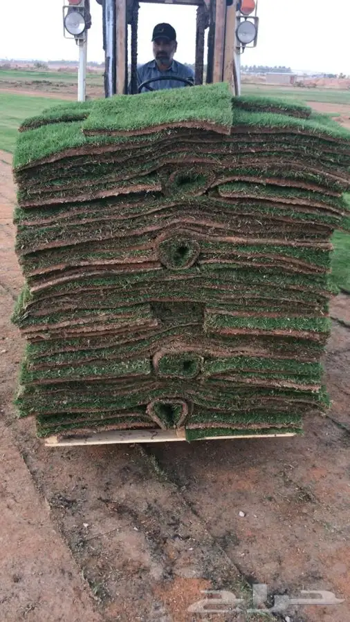 ثيل cl2000 الخرج نخل وشنطونيه 8