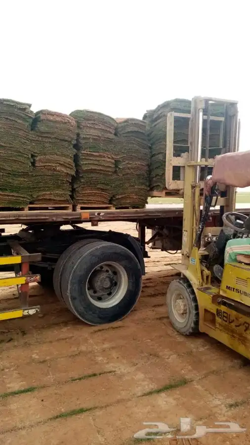 ثيل cl2000 الخرج نخل وشنطونيه 5