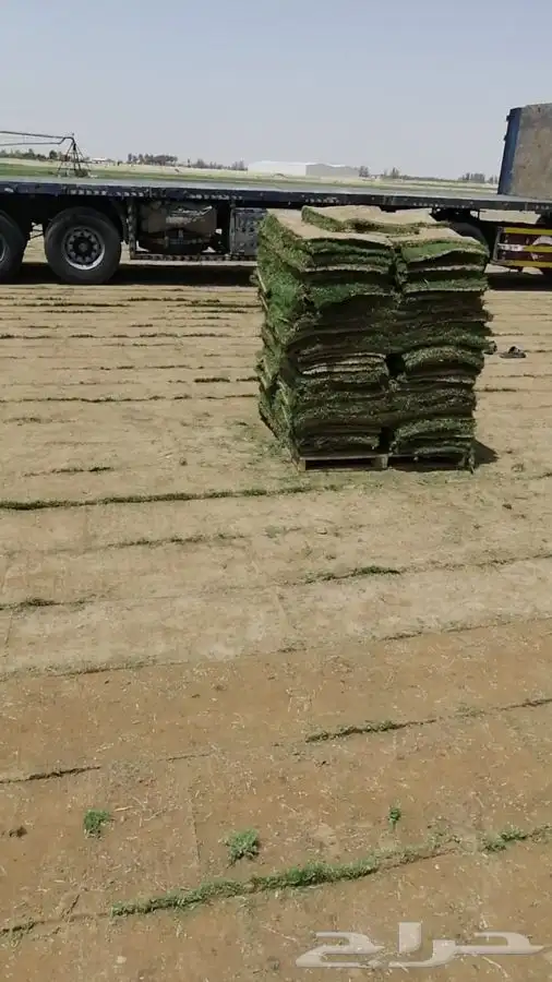 ثيل cl2000 الخرج نخل وشنطونيه 3