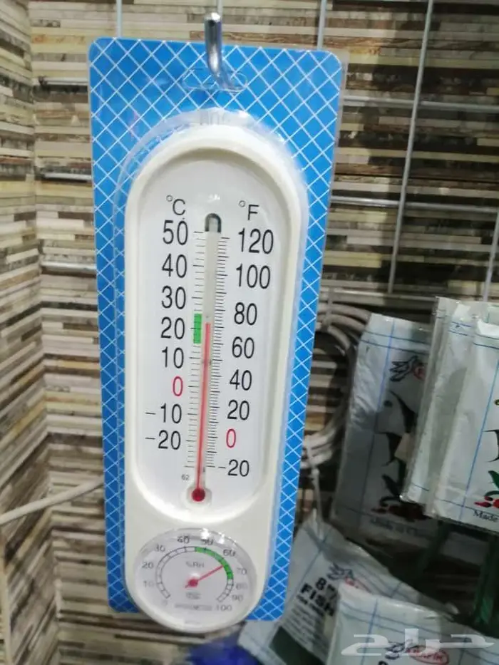 سلاحف وسمك فايتر محل نوادر 11