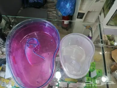 سلاحف وسمك فايتر محل نوادر 6