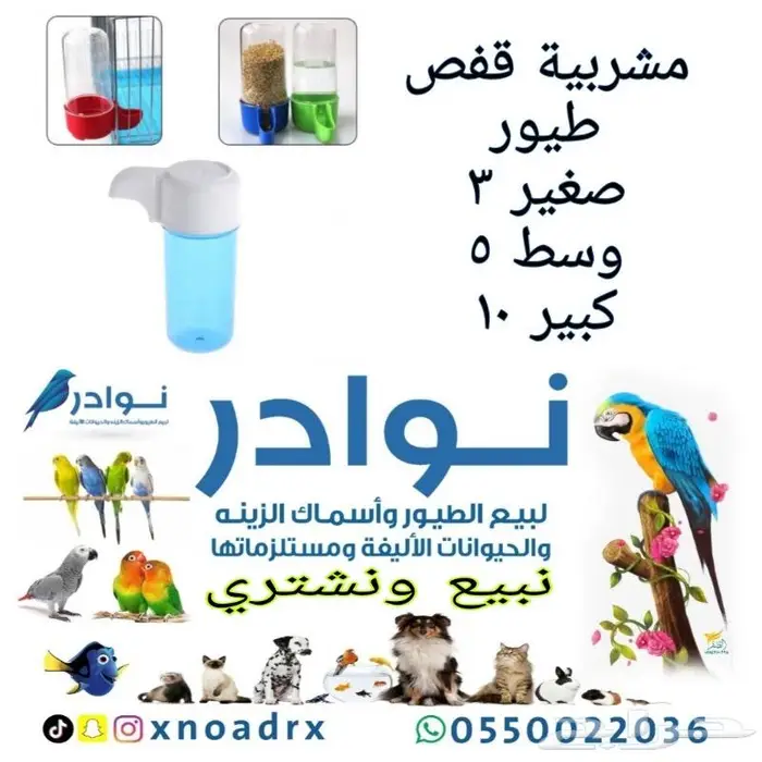 طيور زينة ومستلزماتها محل نوادر خميس مشيط 33