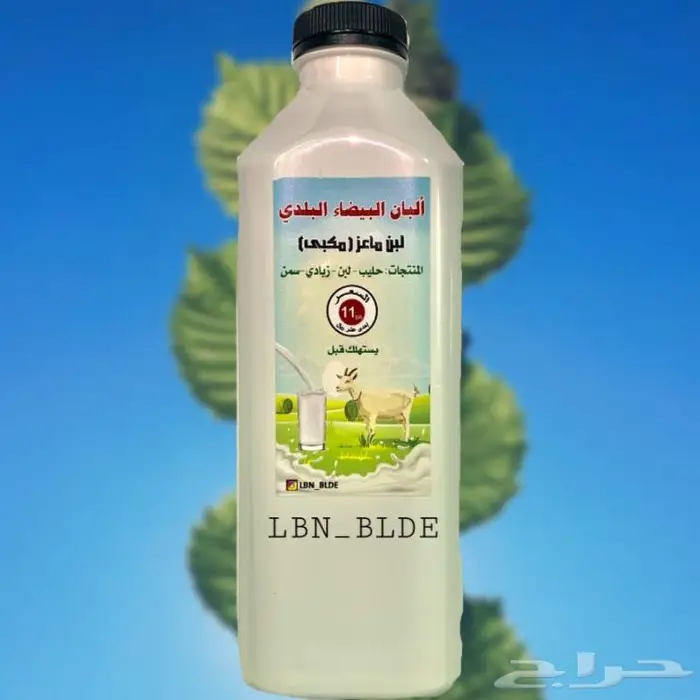 لبن البيضاء البلدي 6