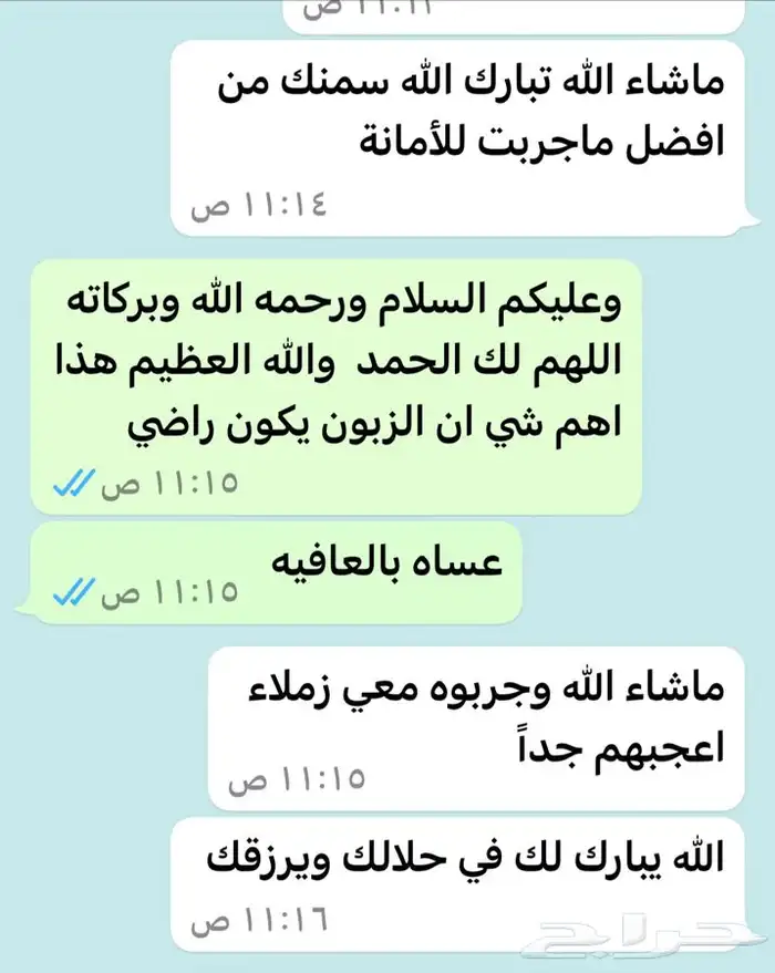 سمن معزا صافي 12