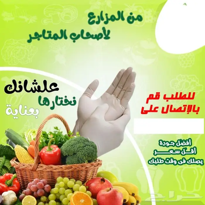 تصميم اعلانات 9