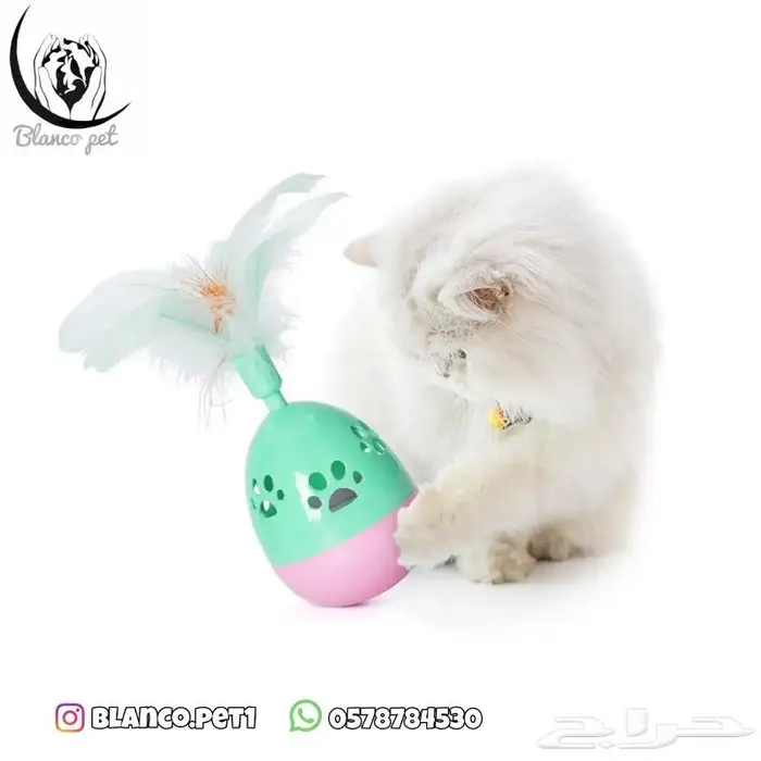 العاب متنوعة للقطط 1