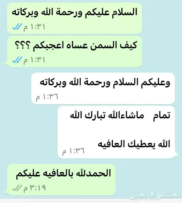 سمن معزا صافي 11