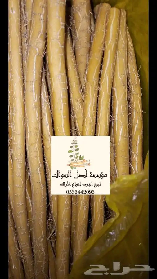 مسواك ابو حنش البلدي يصلك اينما كنت نشرط الجوده 0