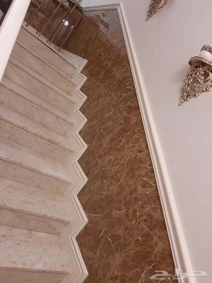 معلم دهان ومعلم. ورق وجميع الاستيل والفوم 1