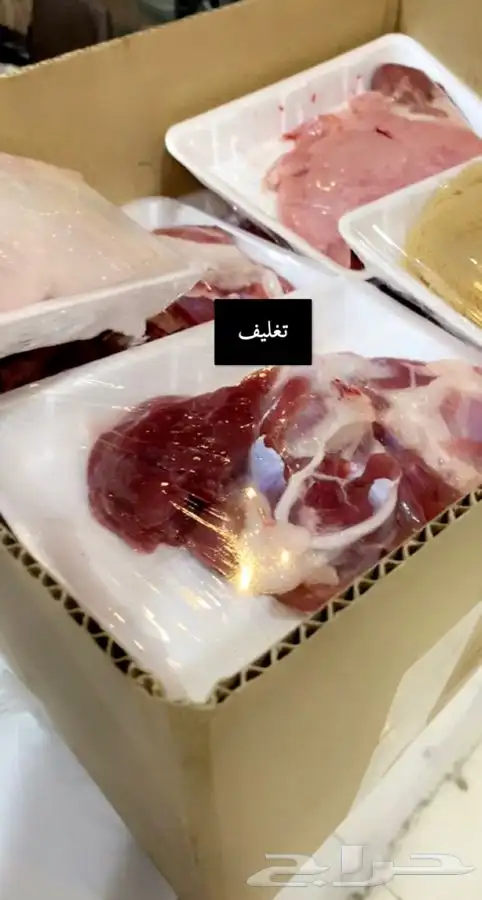 طليان ورخال ذبايح توصيل مشاوي تغليف حراري 2