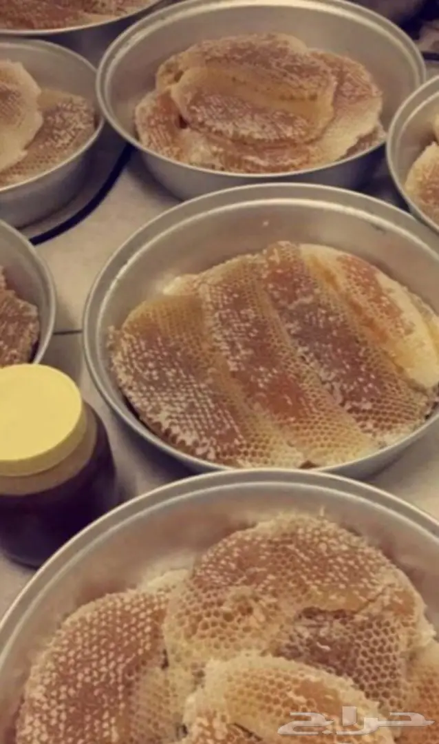 عسل السدره الجبلي وعسل وسمر.خلطه العرسان.الطلحه وغيرها مضمون 1