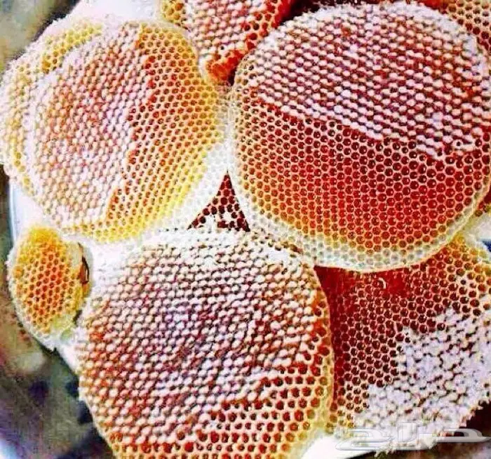 عسل السدره الجبلي وعسل وسمر.خلطه العرسان.الطلحه وغيرها مضمون 2