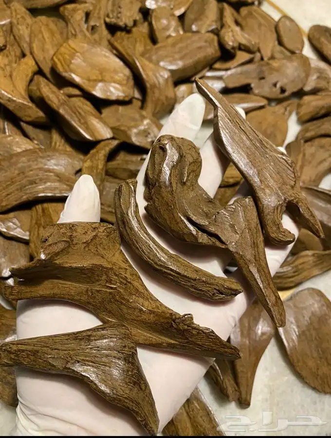 عود مروكي طبيعي محسن 1