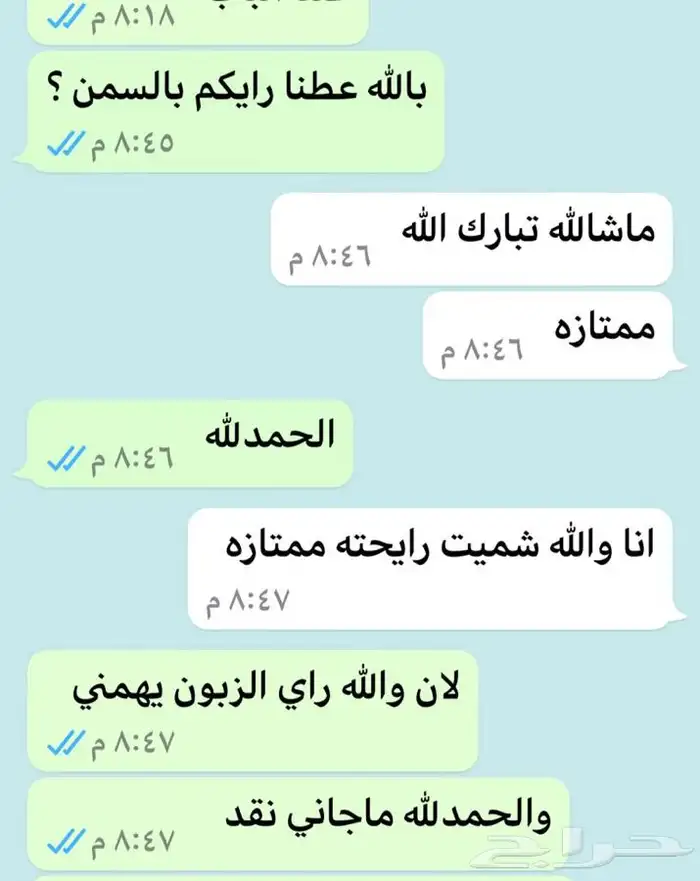 سمن معزا ابيض 11