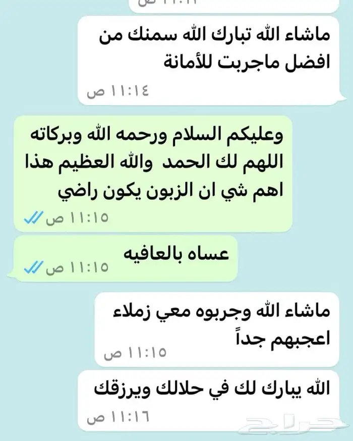 سمن معزا ابيض 13