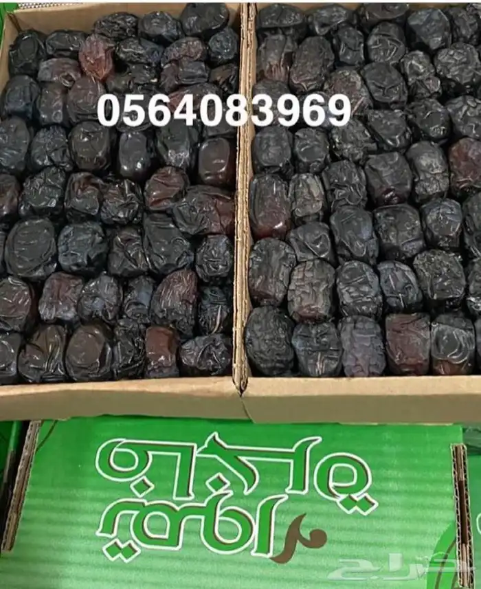 عجوة عالية المدينه وانواع التموور 6