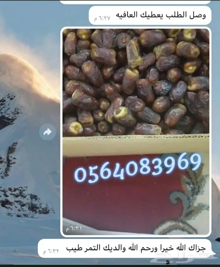 عجوة عالية المدينه وانواع التموور 5