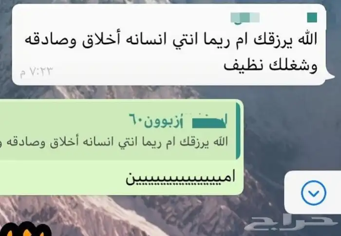 عجوة عالية المدينه وانواع التموور 10