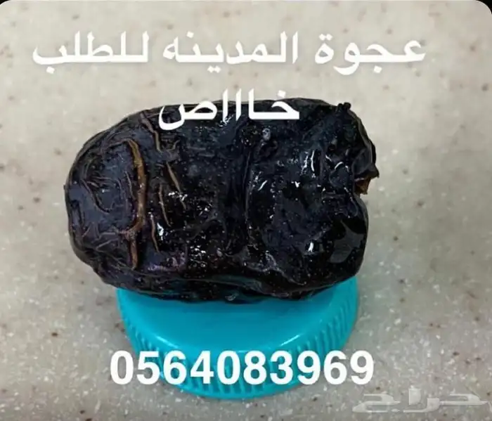 عجوة عالية المدينه وانواع التموور 1