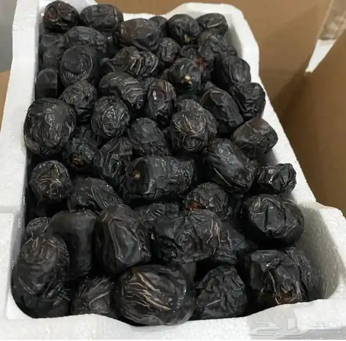 عجوة عالية المدينه وانواع التموور 4