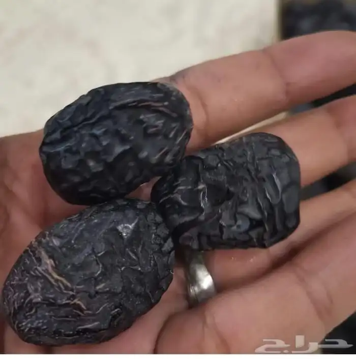 عجوة عالية المدينه وانواع التموور 3