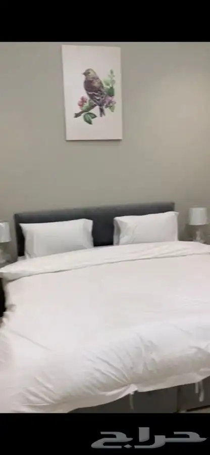 شالهات وفلل نارسيس الشقيق 3