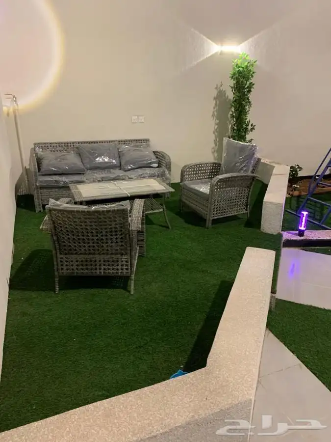 شالهات وفلل نارسيس الشقيق 16