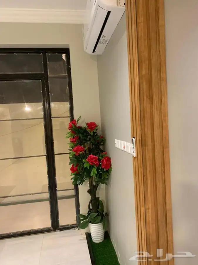 شالهات وفلل نارسيس الشقيق 8