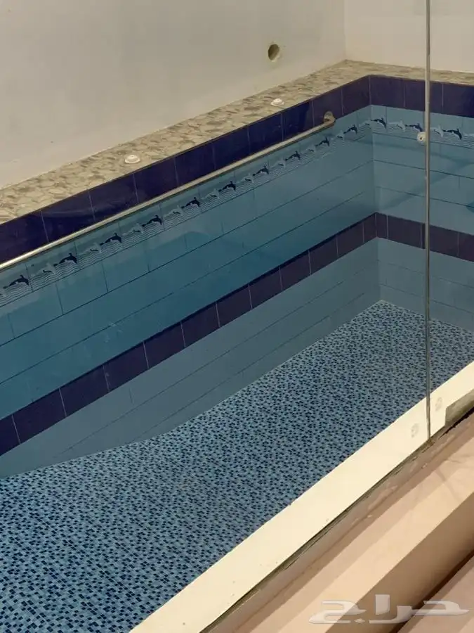 شالهات وفلل نارسيس الشقيق 11