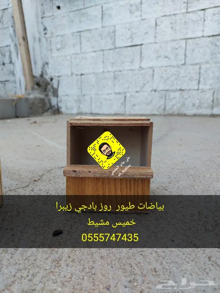 بياضات طيور روز بادجي زيبرا 0