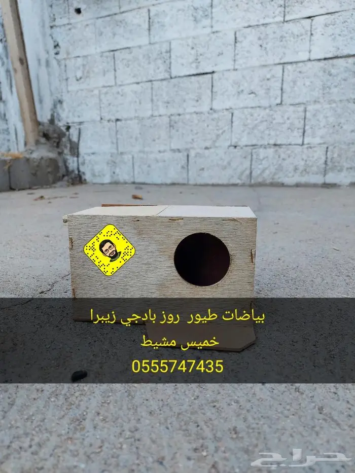 بياضات طيور روز بادجي زيبرا 1