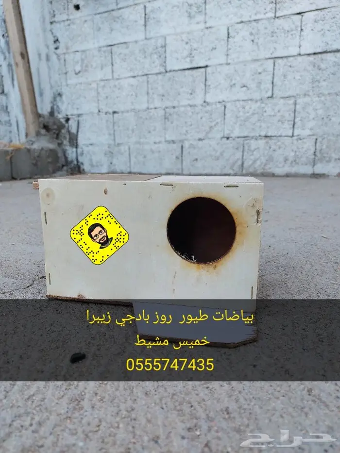 بياضات طيور روز بادجي زيبرا 2
