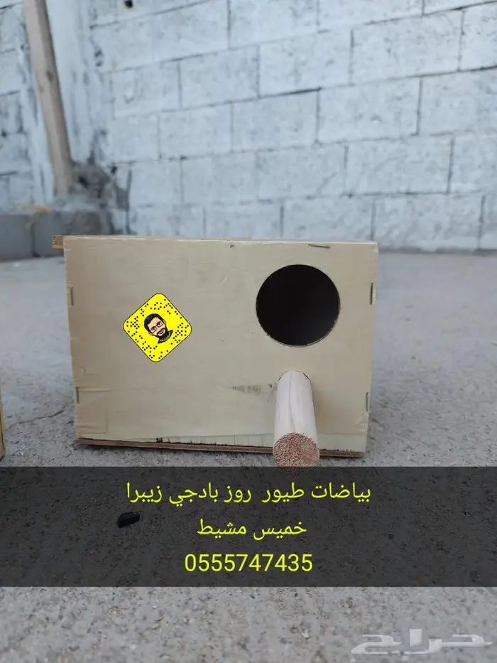 بياضات طيور روز بادجي زيبرا 3