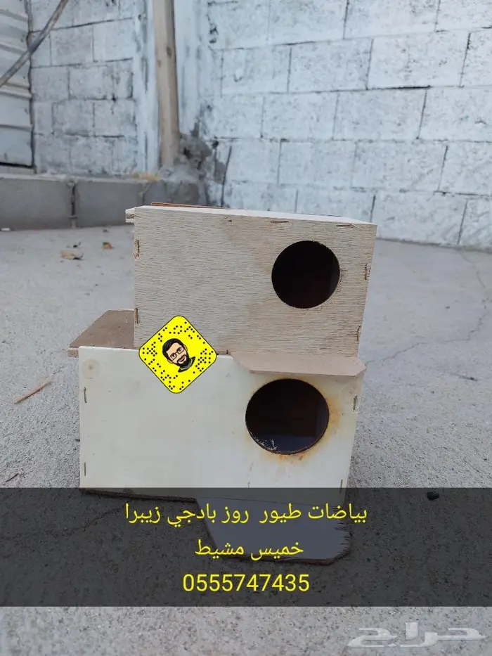 بياضات طيور روز بادجي زيبرا 4