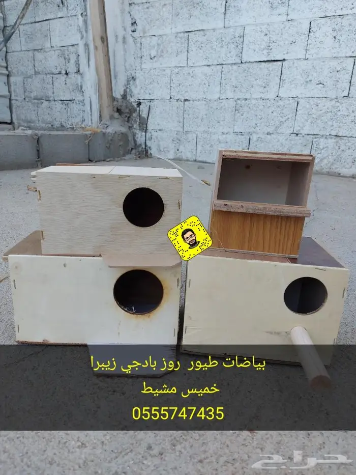 بياضات طيور روز بادجي زيبرا 5