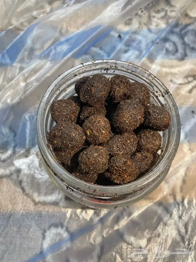 معمول دوسري 4