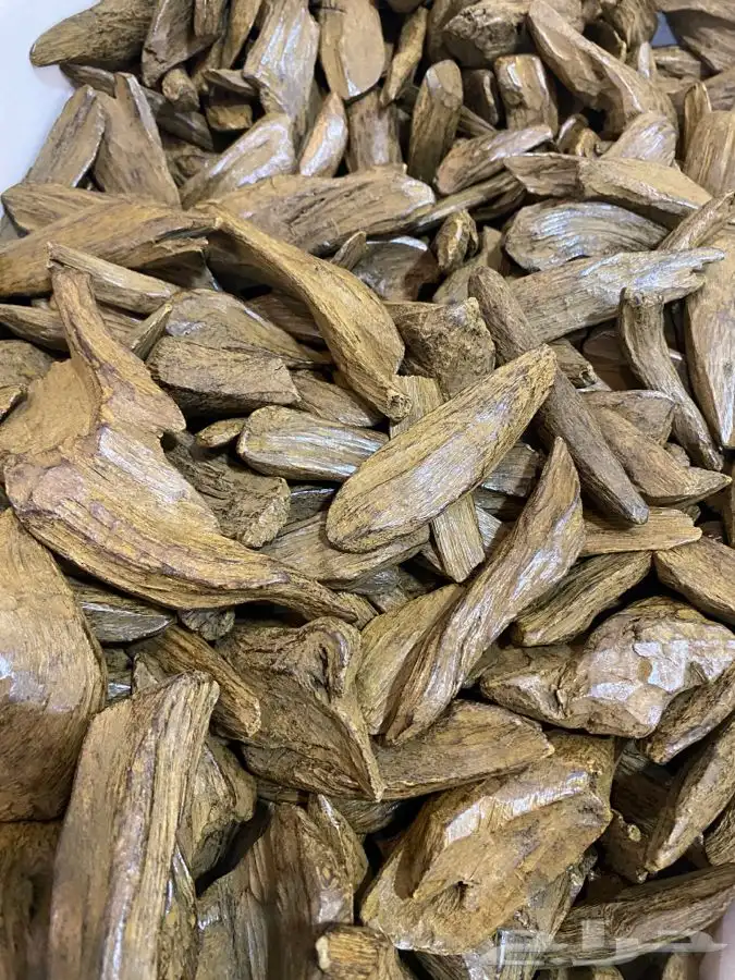 جديدنا مروكي محسن فاخر للزواجات الرياض حي بدر 0