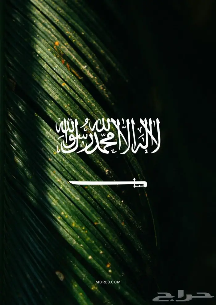 انتاج الشيلات و كتابة القصائد 0
