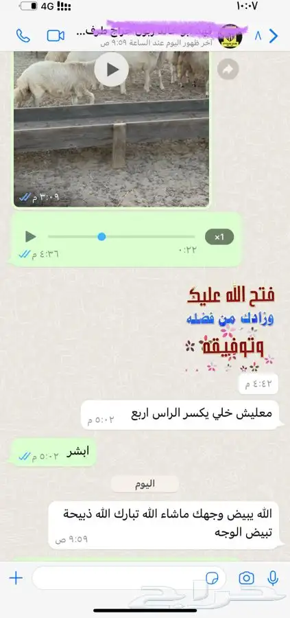 ذبائح ثلاجات صدقات عقائق مناسبات لحد بيتك 60