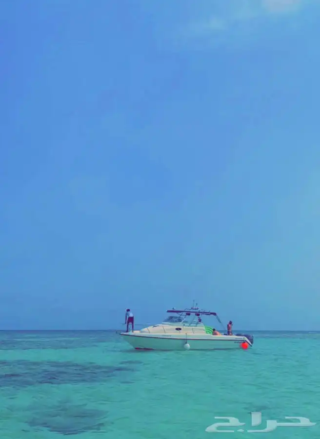 مالديف جدة رحلات بحرية جزيرة بياضه 36