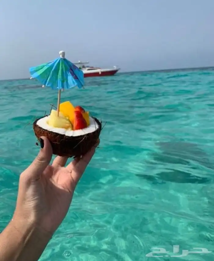 مالديف جدة رحلات بحرية جزيرة بياضه 11