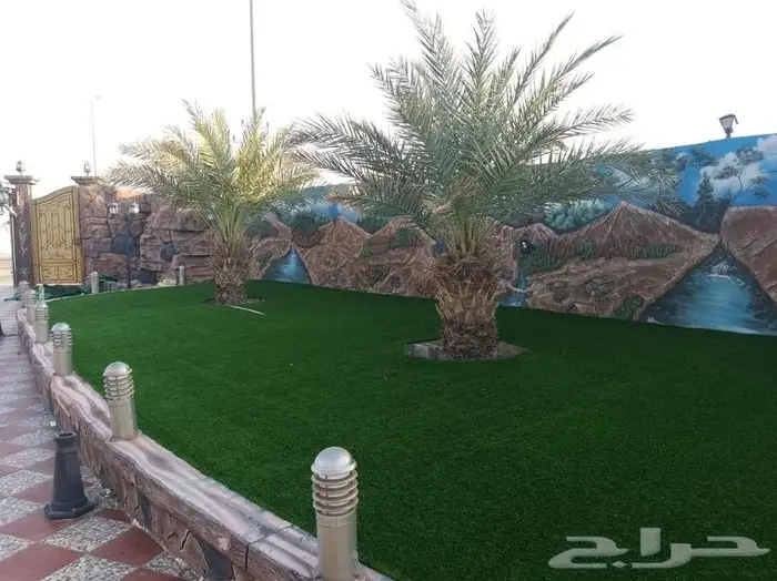 ارضيات مطاطيه وعشب ملاعب وعشب جداري وارضي 3