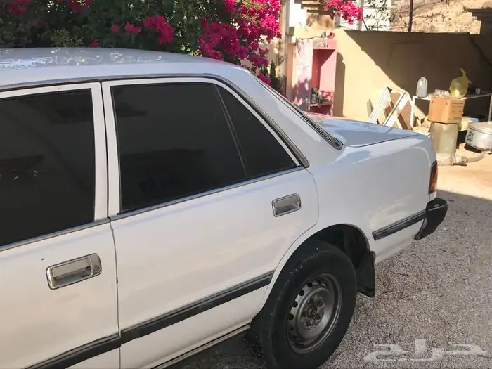 كرسيدا نظيفه XL 96 4