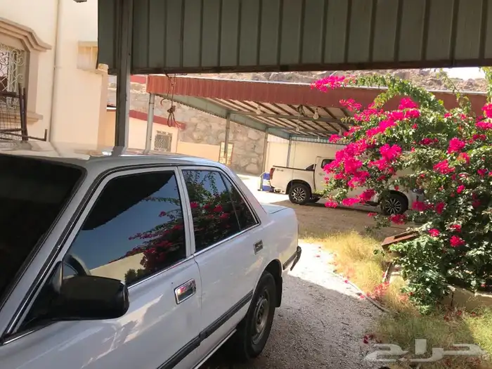 كرسيدا نظيفه XL 96 8