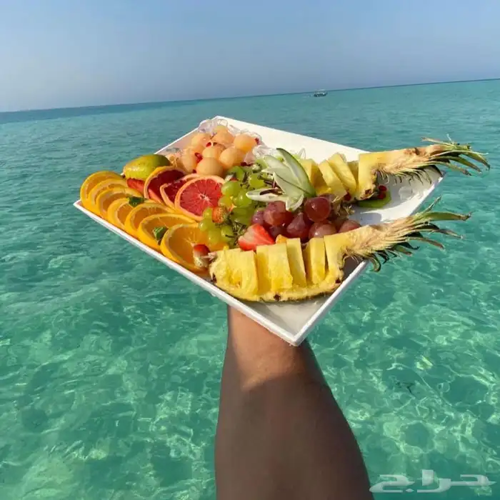 مالديف جدة رحلات بحرية جزيرة بياضه 26