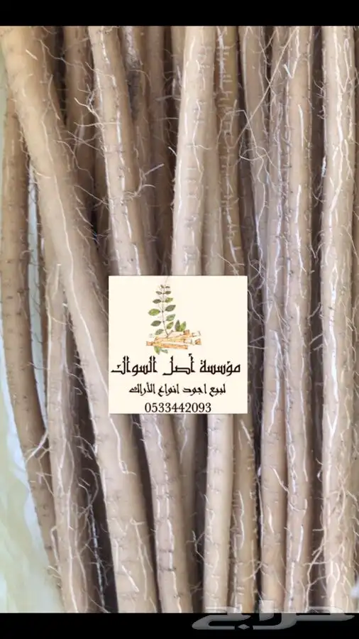 مسواك ابو حنش البلدي يصلك اينما كنت 4