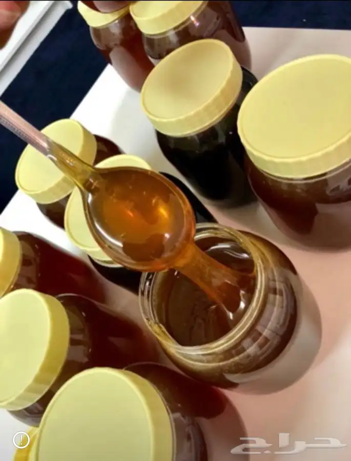 عسل السدره الجبلي وعسل سمر وطلحه وعسل متزوجين مضمون 1